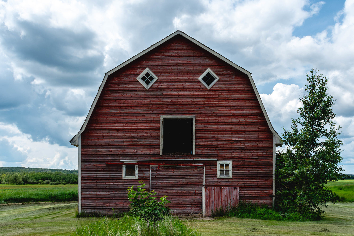 Our Little Farm